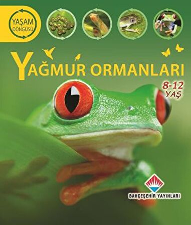 Yaşam Döngüsü-Yağmur Ormanları