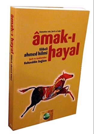 Amak-ı Hayal
