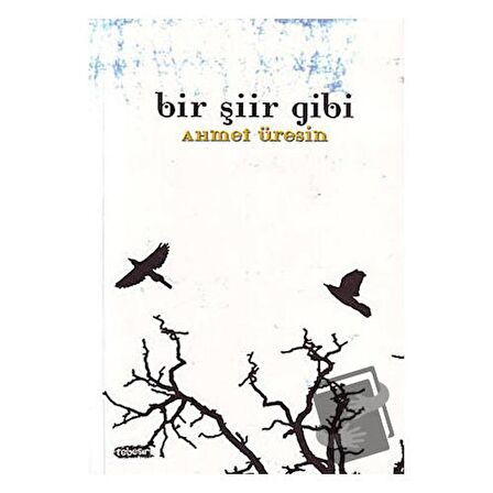 Bir Şiir Gibi