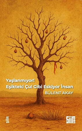 Yaşlanmıyor, Eşikteki Çul Gibi Eskiyor İnsan