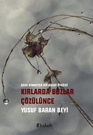 Kırlarda Buzlar Çözülünce