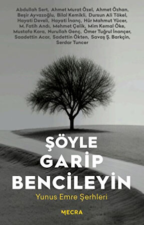 Şöyle Garip Bencileyin Yunus Emre Şerhleri