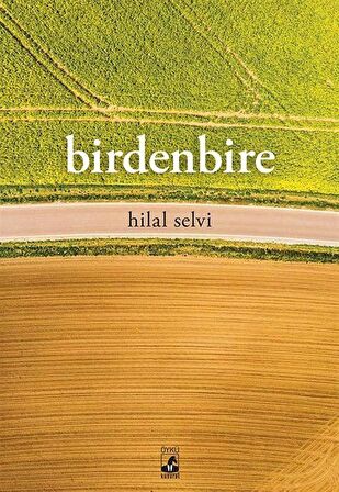 Birdenbire