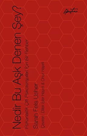 Nedir Bu Aşk Denen Şey?