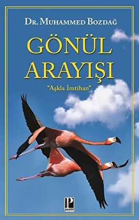 Gönül Arayışı