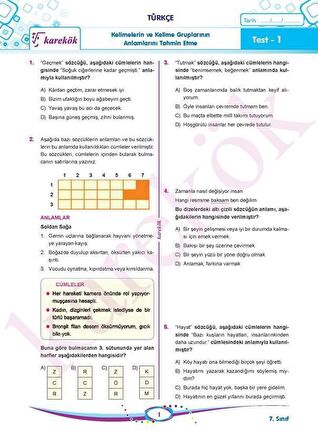 7. Sınıf Tüm Dersler Soru Bankası