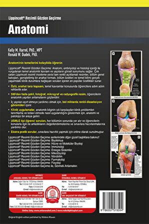 Lippincott Anatomi Resimli Gözden Geçirme