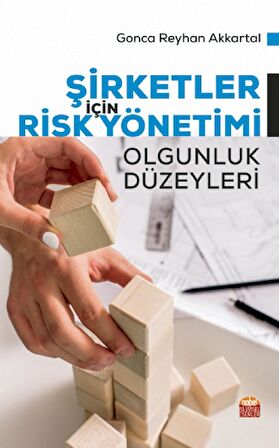 Şirketler İçin Risk Yönetimi - Olgunluk Düzeyleri