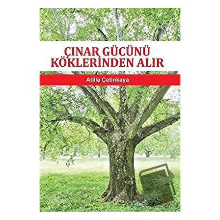 Çınar Gücünü Köklerinden Alır