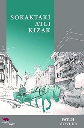 Sokaktaki Atlı Kızak