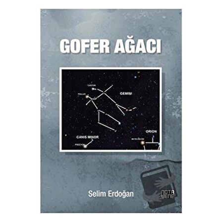 Gofer Ağacı