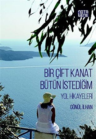 Bir Çift Kanat Bütün İstediğim