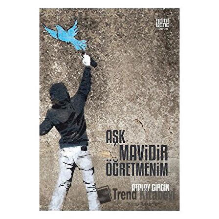 Aşk Mavidir Öğretmenim