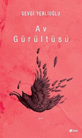 Av Gürültüsü