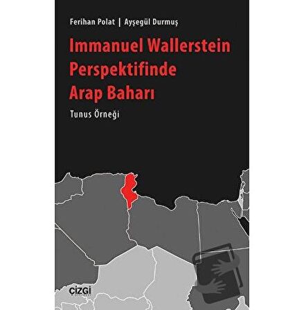 Immanuel Wallerstein Perspektifinde Arap Baharı Tunus Örneği