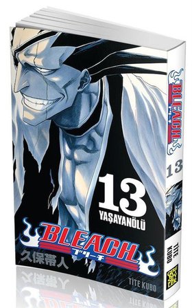 Bleach 13. Cilt