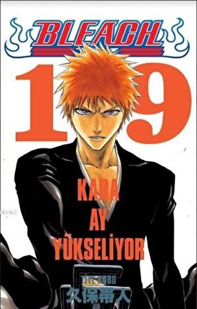 Bleach 19. Cilt