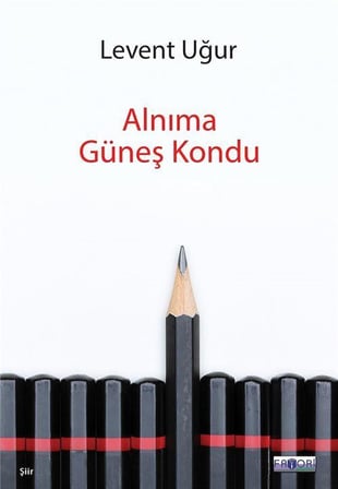 Alnıma Güneş Kondu / Levent Uğur
