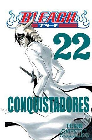 Bleach 22. Cilt