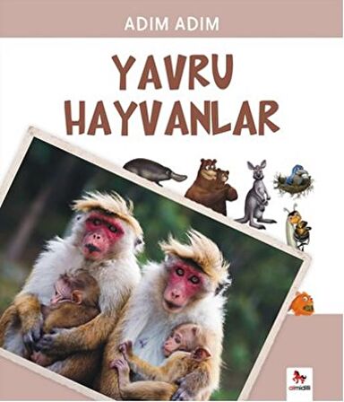 Yavru Hayvanlar