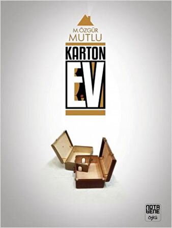 Karton Ev