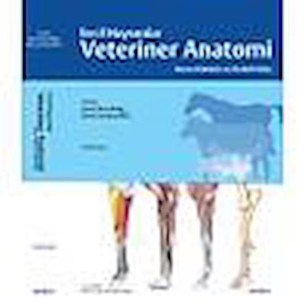 EVCİL HAYVANLARDA VETERİNER ANATOMİ Konu Anlatım ve Renkli Atlas König&Liebich 7.Baskı çeviri 	Prof. Dr. İsmail Türkmenoğlu