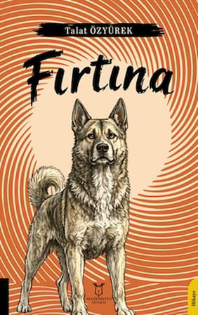 Fırtına