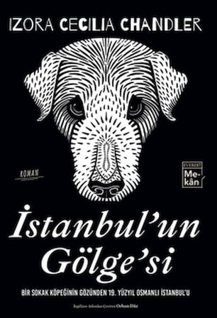 İstanbul'un Gölgesi