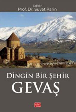 Dingin Bir Şehir Gevaş / Kolektif