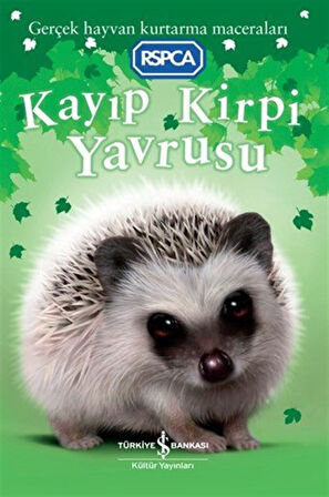 Kayıp Kirpi Yavrusu / Jill Hucklesby