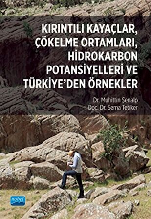 Kırıntılı Kayaçlar, Çökelme Ortamları, Hidrokarbon Potansiyelleri ve Türkiye’den Örnekler