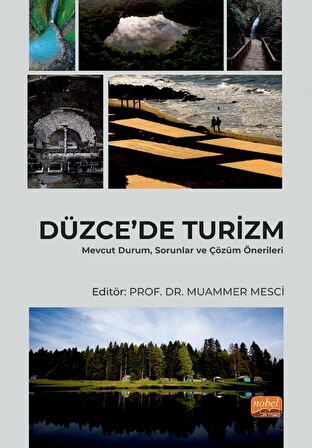 DÜZCE’DE TURİZM - Mevcut Durum, Sorunlar ve Çözüm Önerileri