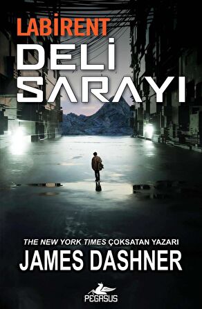 Labirent: Deli Sarayı