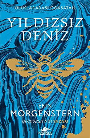 Yıldızsız Deniz / Erin Morgenstern