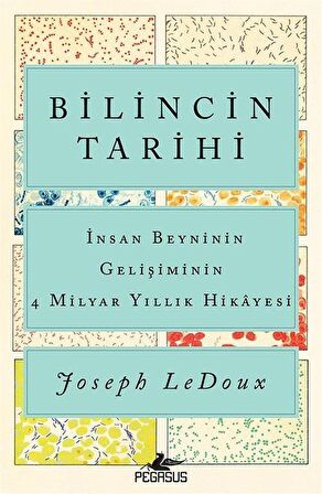 Bilincin Tarihi: İnsan Beyninin Gelişiminin 4 Milyar Yıllık Hikayesi / Joseph Ledoux