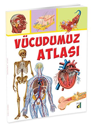 VÜCUDUMUZ ATLASI