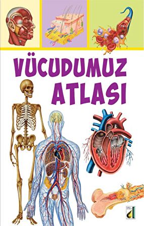 VÜCUDUMUZ ATLASI