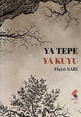 Ya Tepe Ya Kuyu / Hayri Sarı