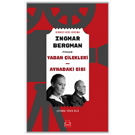 Yaban Çilekleri Aynadaki Gibi