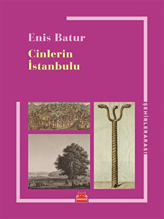 Cinlerin İstanbulu / Enis Batur