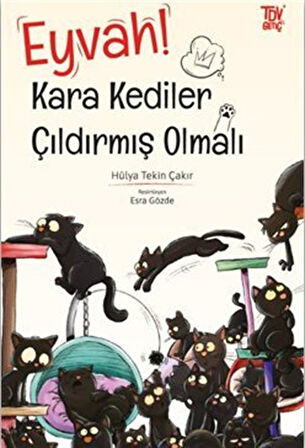 Eyvah Kara Kediler Çıldırmış Olmalı / Hülya Tekin Çakır