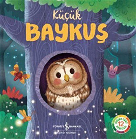 Küçük Baykuş / Wednesday Jones