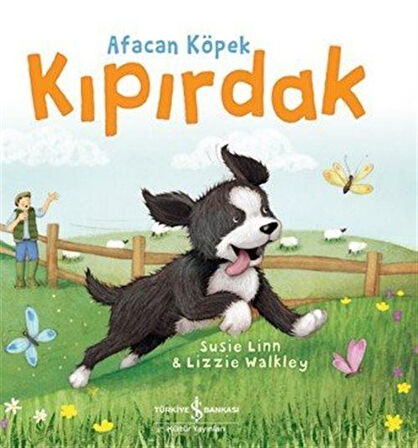 Afacan Köpek Kıpırdak / Susie Linn