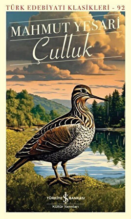 Çulluk / Mahmut Yesari