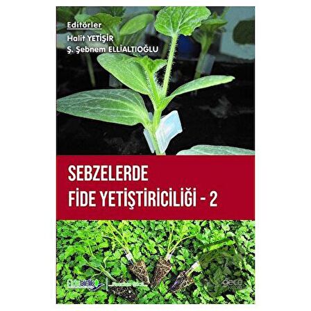 Sebzelerde Fide Yetiştiriciliği 2