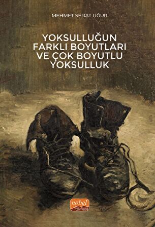 Yoksulluğun Farklı Boyutları ve Çok Boyutlu Yoksulluk