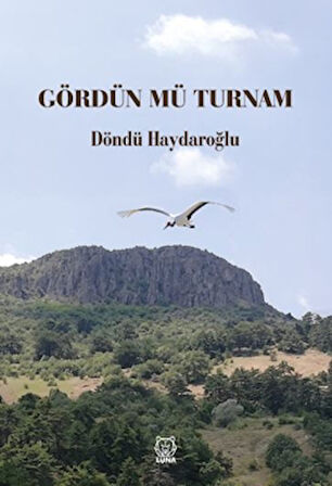 Gördün Mü Turnam