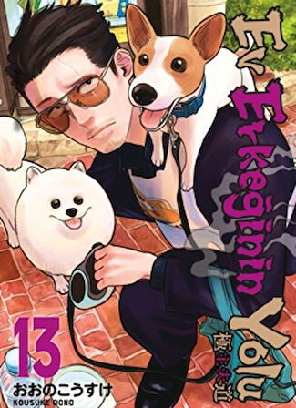 Ev Erkeğinin Yolu 13. Cilt