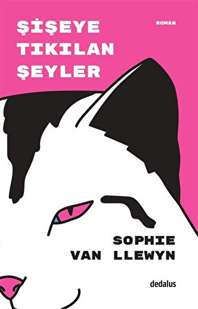 Şişeye Tıkılan Şeyler / Sophie van Llewyn