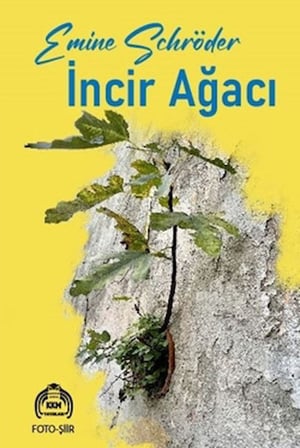 İncir Ağacı